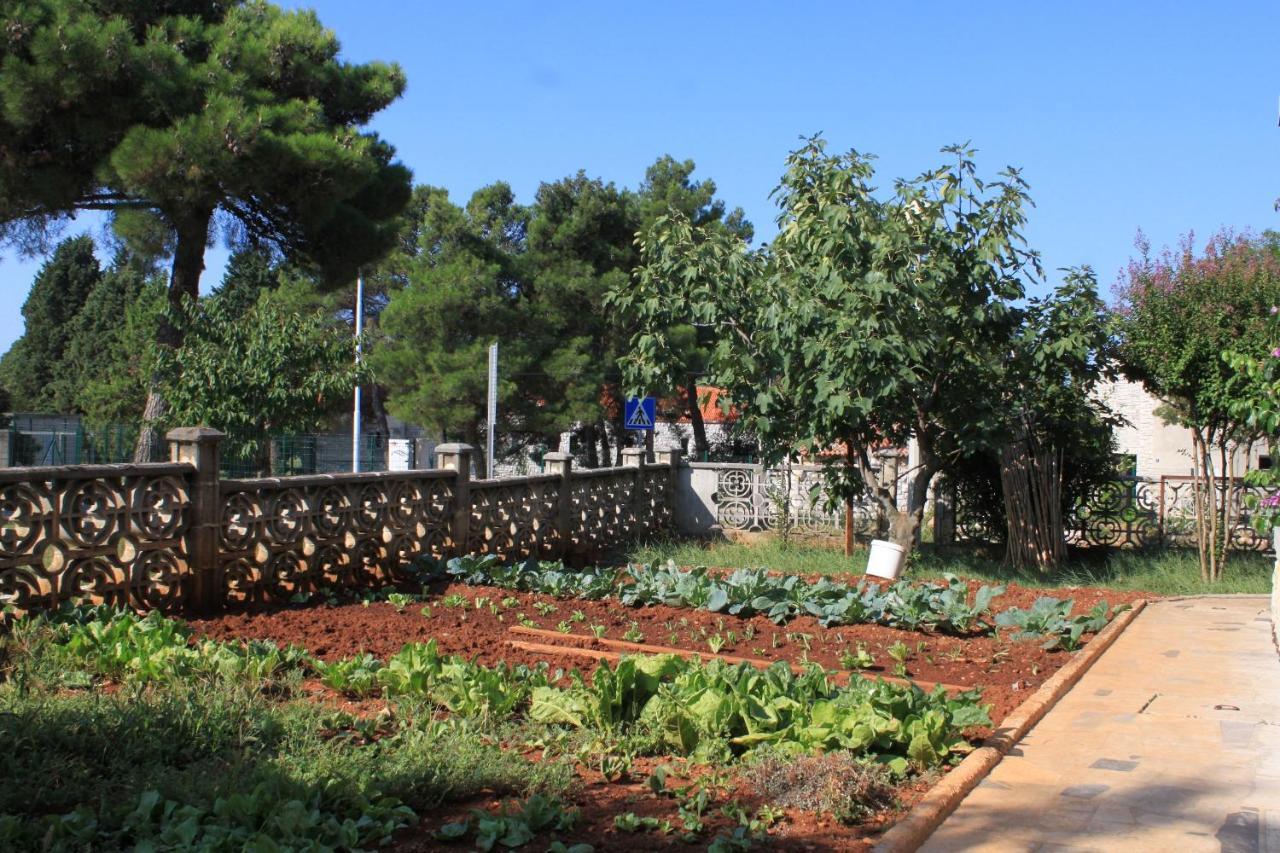 Apartments With A Parking Space Umag - 7066 מראה חיצוני תמונה